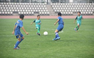 国内足球学校有公立的吗，国内足球学校有公立的吗知乎