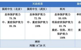 足球护腰带哪款好一点，足球护腰带哪款好一点耐用